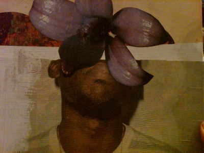 Thundercat on Flying Lotus Bj Rk Massive Attack