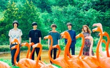 Czecho No Republic、7/20にリリースするニュー・アルバム『DREAMS』の収録曲＆ジャケット写真公開。インストア＆アウトストア・ツアーの詳細も発表