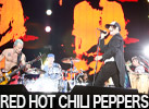 RED HOT CHILI PEPPERS