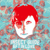 INSECT GUIDE