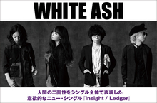 WHITE ASH