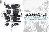 Sawagi