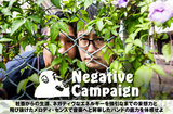Negative Campaign