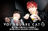 VOI SQUARE CAT