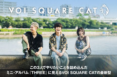 VOI SQUARE CAT