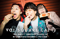 VOI SQUARE CAT