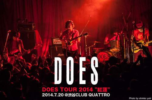 DOSE 直筆サイン色紙 氏原ワタル 赤塚ヤスシ 森田ケーサク 銀魂 ナルト DOSE 直筆サイン色紙 氏原ワタル 赤塚ヤスシ 森田ケーサク 銀魂