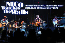 NICO Touches the Walls