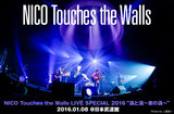 NICO Touches the Walls