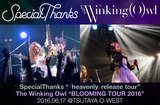 SpecialThanks × The Winking Owl