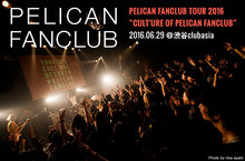 PELICAN FANCLUB