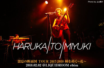 ハルカトミユキ