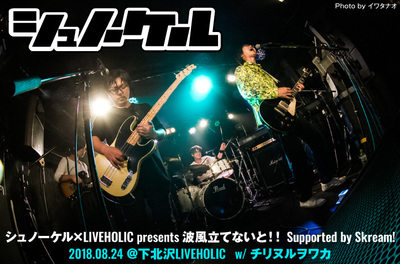 シュノーケル×LIVEHOLIC presents 波風立てないと!!