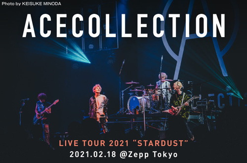 ミュージシャン ACECOLLECTION ACE COLLECTION - December 9【Live Video From AKASAKA BLITZ