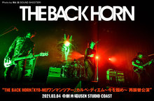 THE BACK HORN