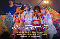 ぜんぶ君のせいだ。