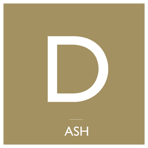 ASHのPVシリーズ第四弾！