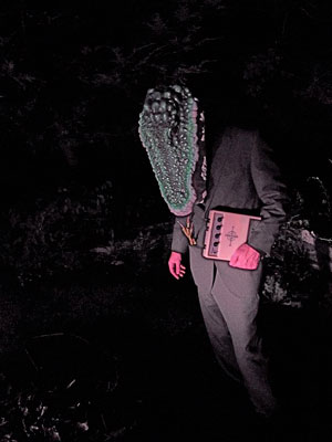 Avey Tareソロアルバム全曲フル試聴開始＆アニコレのメンバーデザインのスニーカーも予約開始！
