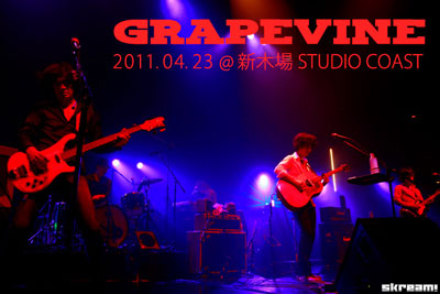 GRAPEVINEライヴレポートをアップしました。