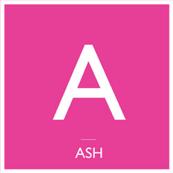 【新作リリース記念】ASHのPV、続々公開！