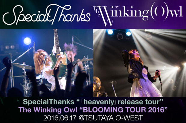 SpecialThanks×The Winking Owlのライヴ・レポート公開。女性フロントマン擁する2組によるダブルレコ発ツアー、約1ヶ月に渡る競演を締めくくった東京公演をレポート