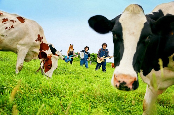 打首獄門同好会、制作中の日本武道館DVD／Blu-rayより「きのこたけのこ戦争」ライヴ映像を期間限定で緊急先行公開。SNSでコメントも