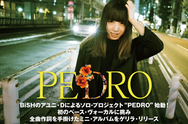 大切な人へのギフト探し 【値下げ】PEDRO ペドロ LP レコード アナログ 