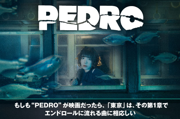 Pedroの特集 動画メッセージ公開 もしも Pedro が映画だったら 東京 は その第1章でエンドロール に流れる曲に相応しい 初映像作品 2ndシングル2 10同時リリース 日本武道館までの軌跡を振り返り最新作に迫る