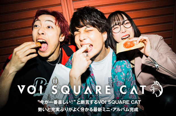 VOI SQUARE CATのインタビュー公開。"今が一番楽しい！"と断言するぼいすくが、勢いと充実ぶりがよく分かる最新ミニ・アルバム『SONIC』をリリース