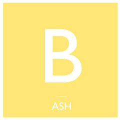 ASHの新曲PV公開、第二弾。