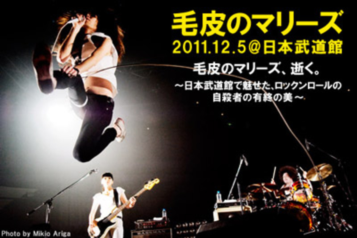 毛皮のマリーズ、逝く。～日本武道館で魅せた、ロックンロールの自殺者