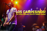 LOS CAMPESINOS!のLive Report from UK！
