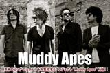 【RT＆フォローで応募完了！】Muddy ApesのOne Night Special Live “Crush It”＠Shibuya CLUB QUATTROに2組4名様ご招待