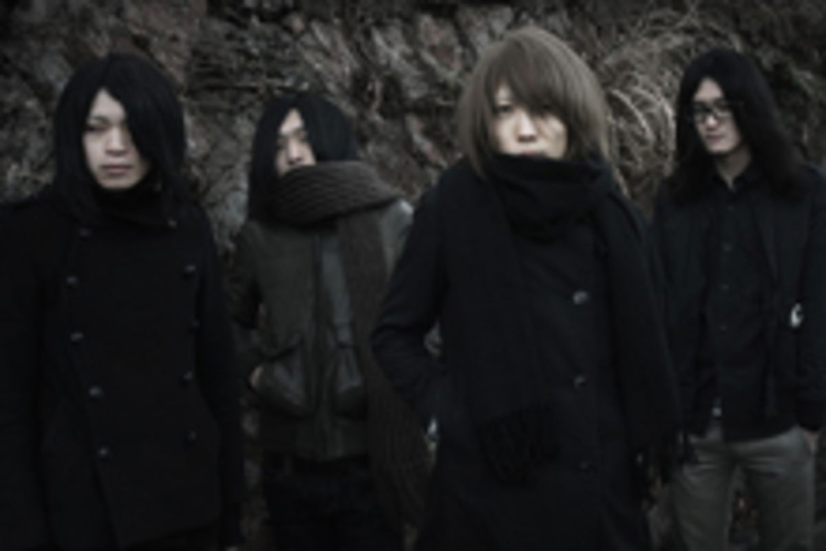 Amazon.co.jp: 美しい日 [DVD] : THE NOVEMBERS, THE NOVEMBERS: DVD