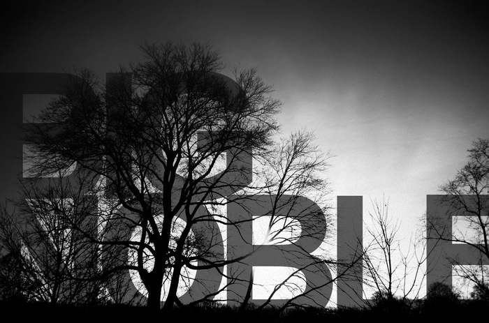INTERPOLのDaniel Kessler(Gt)による新プロジェクト BIG NOBLE、来年2月に1stアルバム『First Light』リリース決定。収録曲「Peg」のMV公開