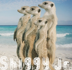 ShiggyJr_s.jpg