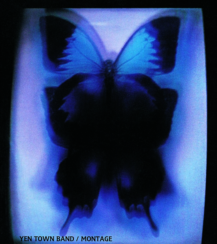 Charaがヴォーカルを務める、映画"スワロウテイル"劇中バンド "YEN TOWN BAND"が復活！新潟で開催される"大地の芸術祭 2015"で9/12(土)にライヴ実施決定