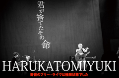 ハルカトミユキのインタビュー＆動画メッセージ公開。野音フリー・ライヴを収録した配信限定ライヴ・アルバムを12/23リリース。堂々のステージを振り返るとともに2016年のふたりを占う