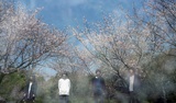 東京を拠点に活動する4人組オルタナティヴ・ロック・バンド 水槽のクジラ、7/6に初の全国流通盤となる1stミニ・アルバム『かたちのおわり / かたちをかえて』リリース決定