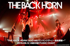 THE BACK HORNのライヴ・レポート公開。全35公演に及ぶワンマン・ツアー完遂、バンドの本質を愛するファンとともに最新作の物語性を肉体化した6/12新木場ファイナルをレポート