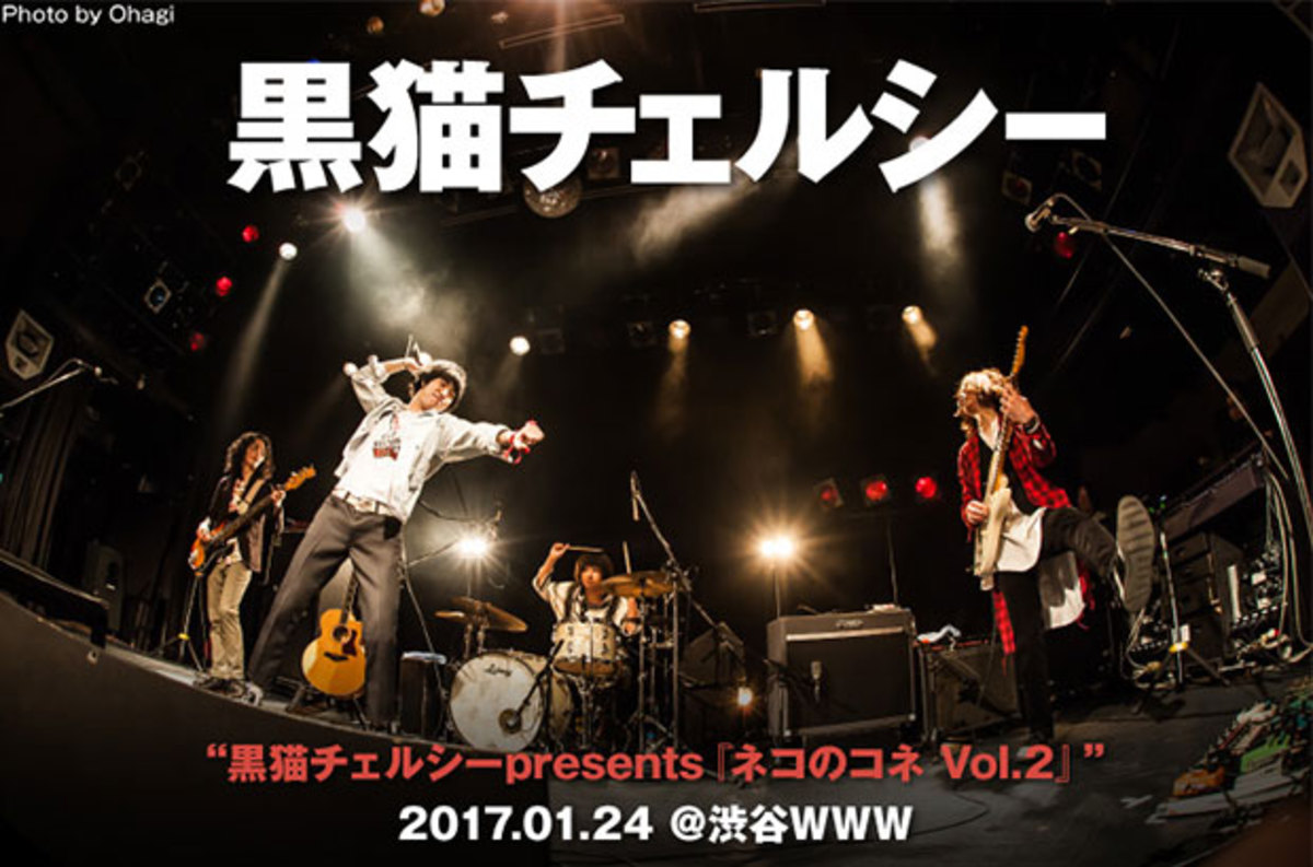 フラワーカンパニーズライブ2013(渋谷WWW&日比谷野外大音楽堂) [DVD