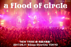 a flood of circleのライヴ・レポート公開。新サポート・ギター初参加のワンマン・ツアー最終日、挑発的セトリで熱狂させたZepp DiverCity TOKYO公演をレポート