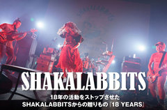 SHAKALABBITSのインタビュー＆動画メッセージ公開。18年の活動をストップさせたバンドからの贈りもの――活休前ラスト・ステージを完全収録したライヴDVDを明日5/30リリース