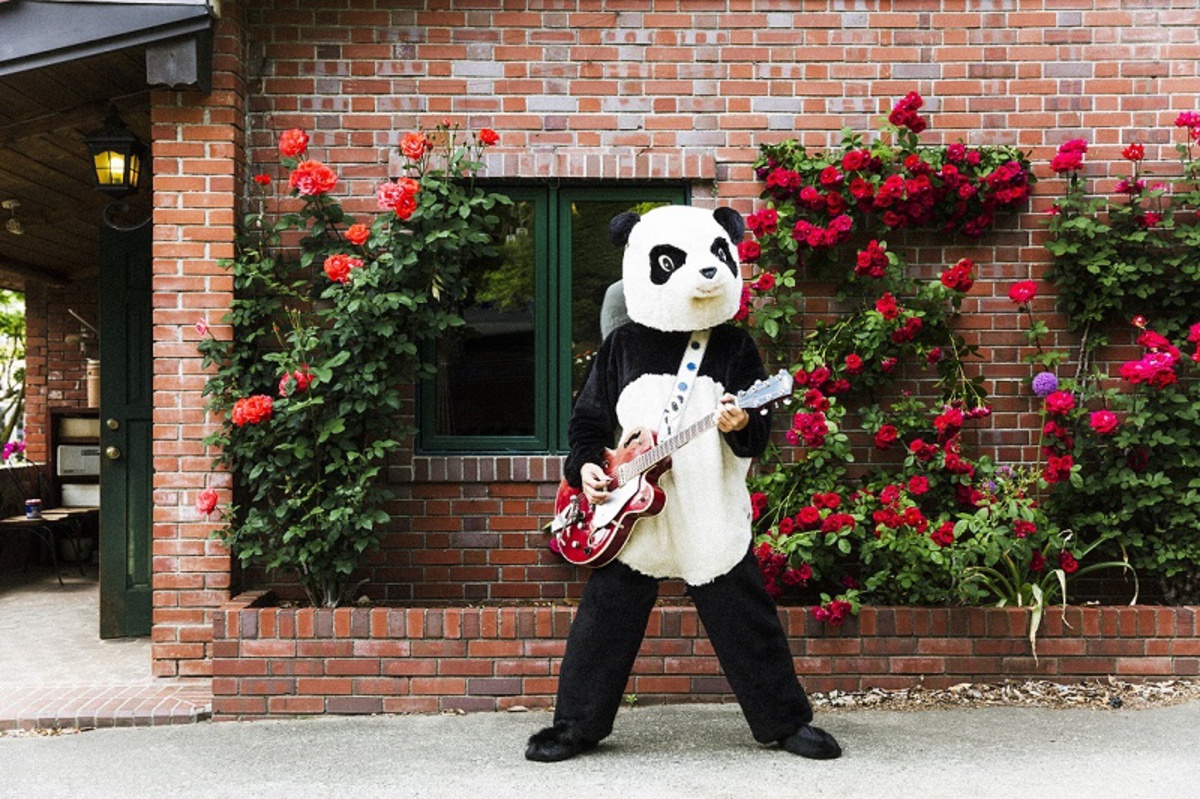 guitar_panda-thumb-1200xauto-