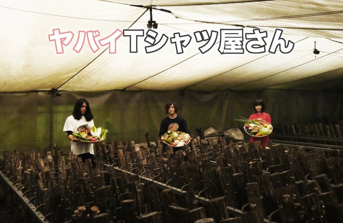 ヤバイTシャツ屋さん、12/19に3rdフル・アルバム『Tank-top Festival in JAPAN』リリース決定。映画"ニセコイ"主題歌｢かわE｣もCD初収録