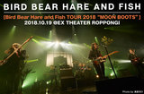 Bird Bear Hare and Fishのライヴ・レポート公開。初全国ツアー最終日、BBHFならではの表現力を発揮し、バンドの偉大な第一歩となったEXシアター六本木公演をレポート