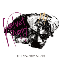 Velvet Puppy Jaket(RGB).jpg