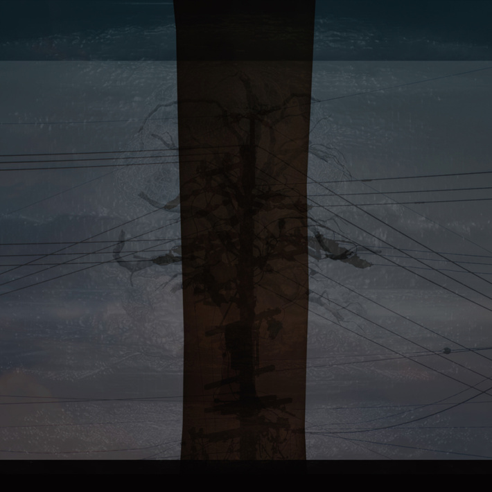 Maison book girl、7/31リリースのニュー・シングル『umbla』ジャケット写真公開