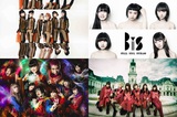 BiSH、BiS、GANG PARADE、EMPiREら所属のWACK、"TIF2019"にて所属全グループで贈るスペシャル・ソング「WACK is BEAUTiFUL （this is love song）」披露決定