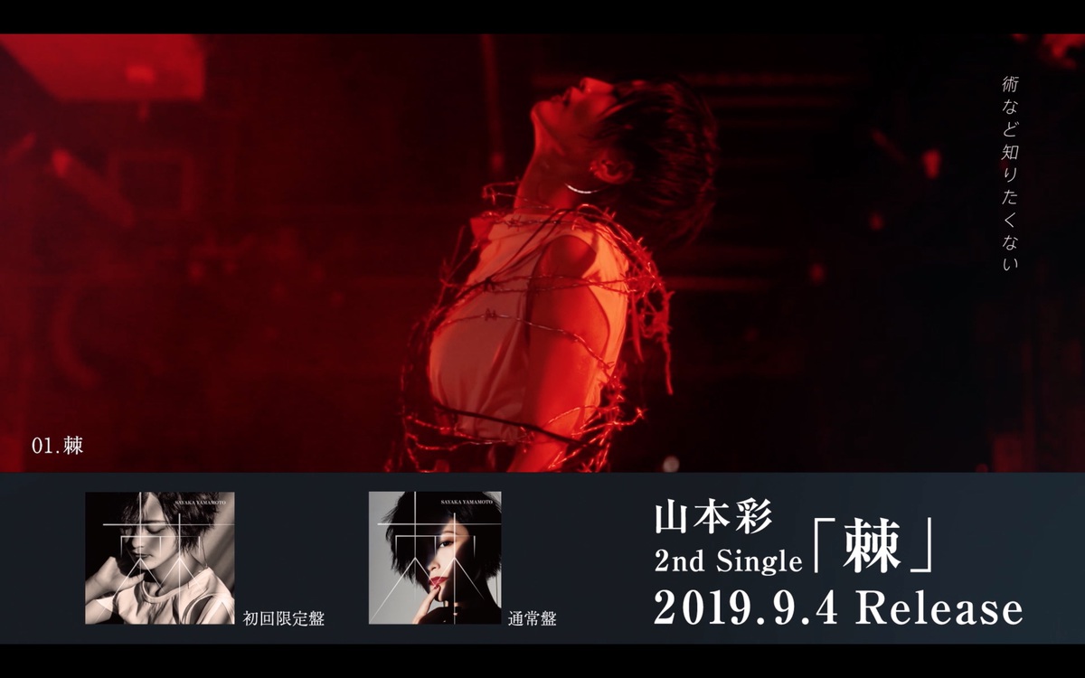 Amazon.co.jp: AKB48 僕たちは戦わない 通常盤封入特典 公式生